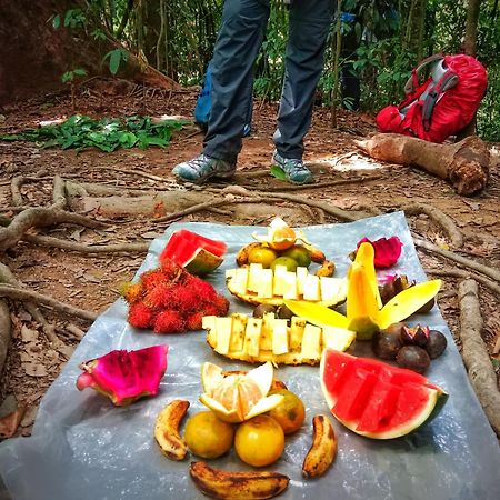 Jungle Life Guest House - Trekking & Transport Only Book With Us Bukit Lawang Ngoại thất bức ảnh