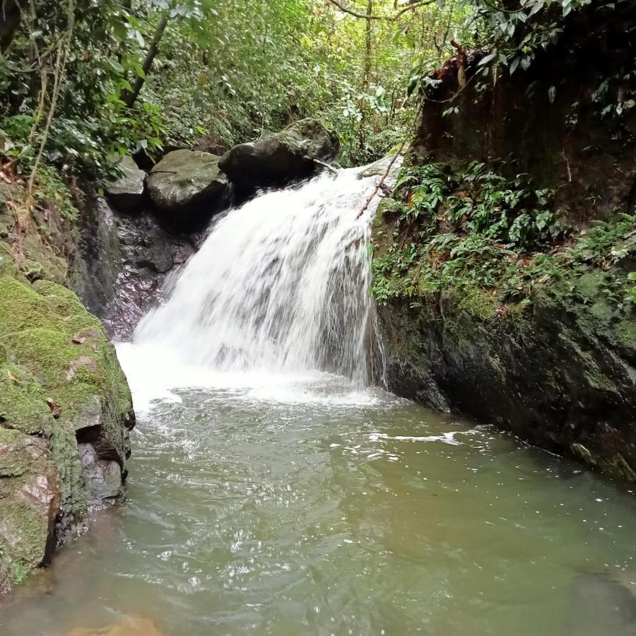 Jungle Life Guest House - Trekking & Transport Only Book With Us Bukit Lawang Ngoại thất bức ảnh