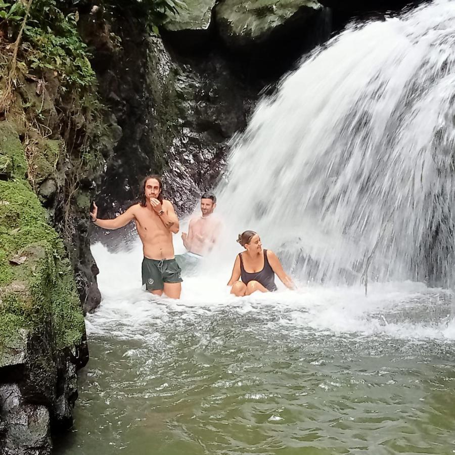 Jungle Life Guest House - Trekking & Transport Only Book With Us Bukit Lawang Ngoại thất bức ảnh