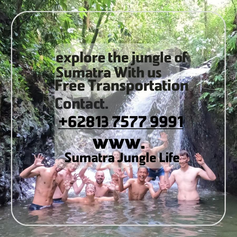 Jungle Life Guest House - Trekking & Transport Only Book With Us Bukit Lawang Ngoại thất bức ảnh