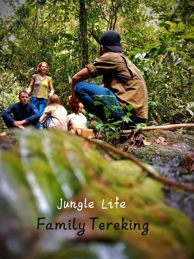 Jungle Life Guest House - Trekking & Transport Only Book With Us Bukit Lawang Ngoại thất bức ảnh