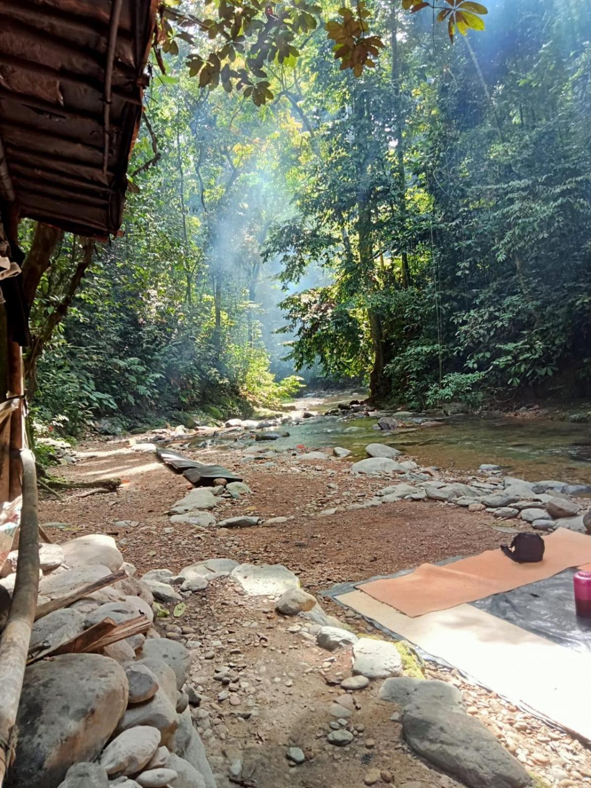 Jungle Life Guest House - Trekking & Transport Only Book With Us Bukit Lawang Ngoại thất bức ảnh