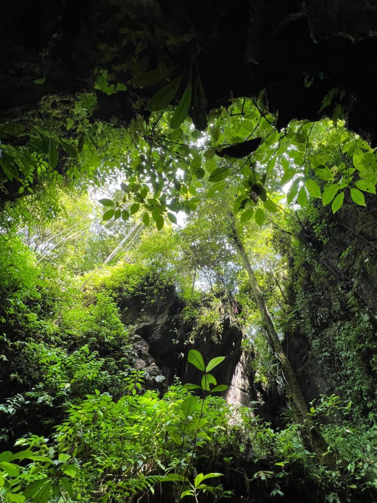 Jungle Life Guest House - Trekking & Transport Only Book With Us Bukit Lawang Ngoại thất bức ảnh