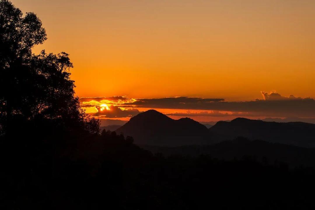 Jungle Life Guest House - Trekking & Transport Only Book With Us Bukit Lawang Ngoại thất bức ảnh