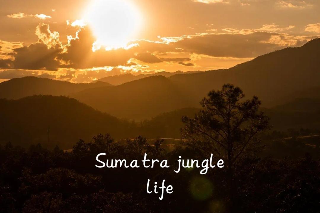 Jungle Life Guest House - Trekking & Transport Only Book With Us Bukit Lawang Ngoại thất bức ảnh