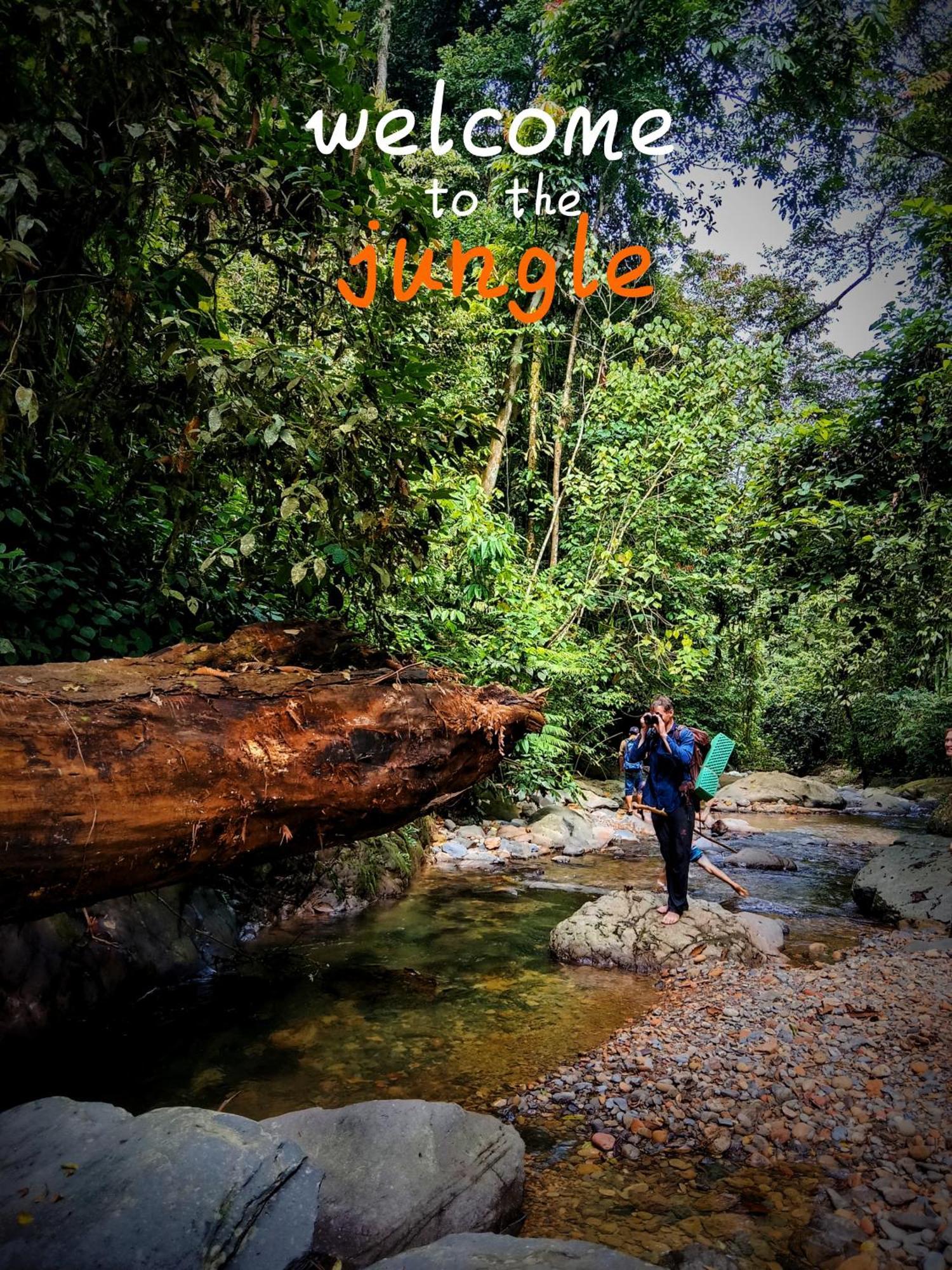 Jungle Life Guest House - Trekking & Transport Only Book With Us Bukit Lawang Ngoại thất bức ảnh