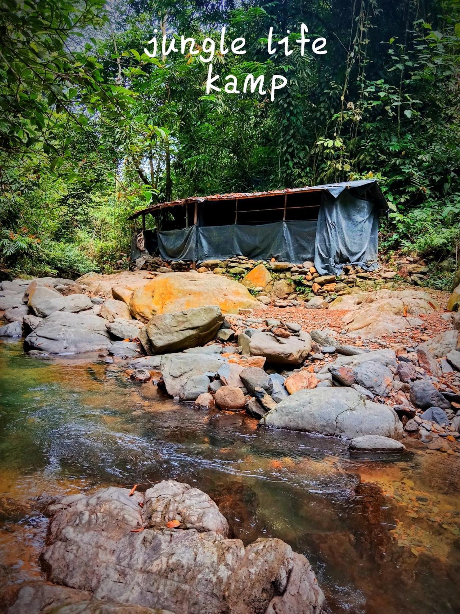 Jungle Life Guest House - Trekking & Transport Only Book With Us Bukit Lawang Ngoại thất bức ảnh