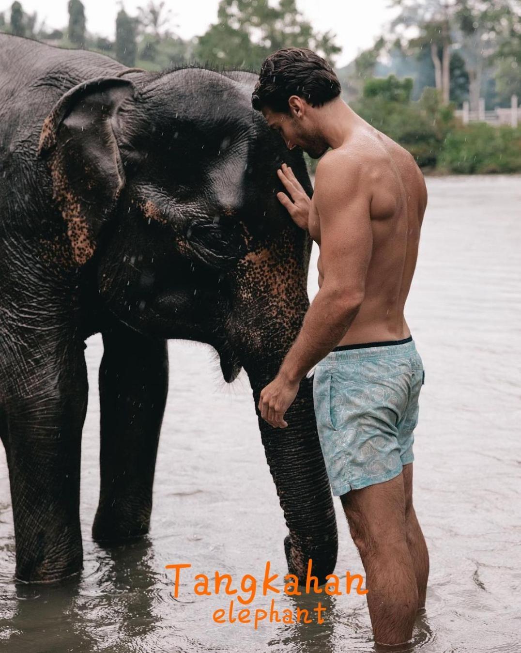 Jungle Life Guest House - Trekking & Transport Only Book With Us Bukit Lawang Ngoại thất bức ảnh