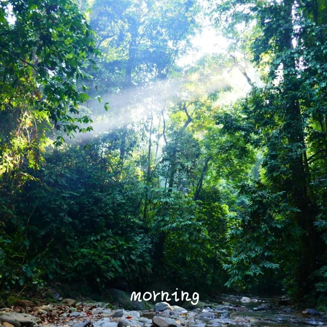 Jungle Life Guest House - Trekking & Transport Only Book With Us Bukit Lawang Ngoại thất bức ảnh