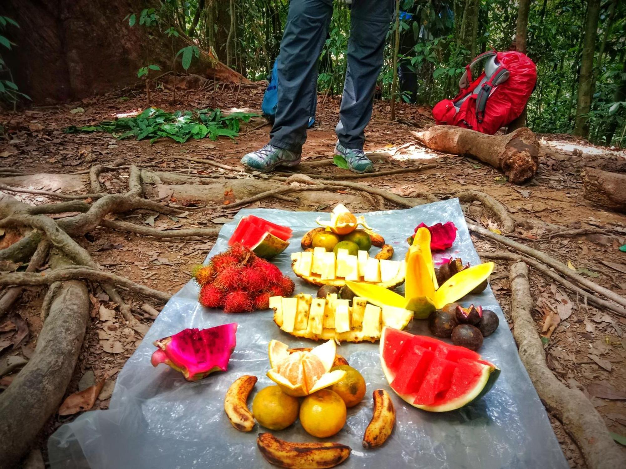 Jungle Life Guest House - Trekking & Transport Only Book With Us Bukit Lawang Ngoại thất bức ảnh