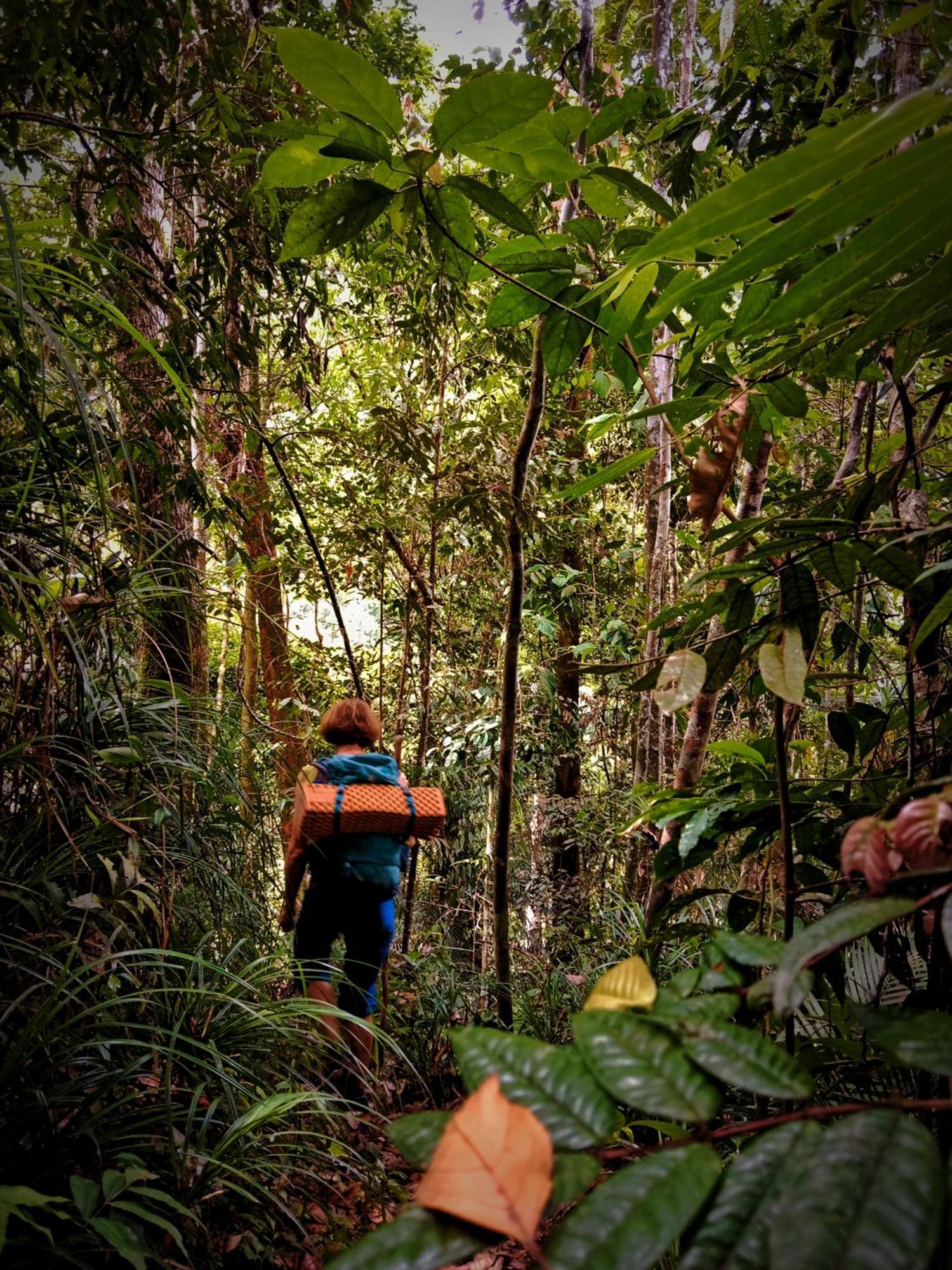 Jungle Life Guest House - Trekking & Transport Only Book With Us Bukit Lawang Ngoại thất bức ảnh
