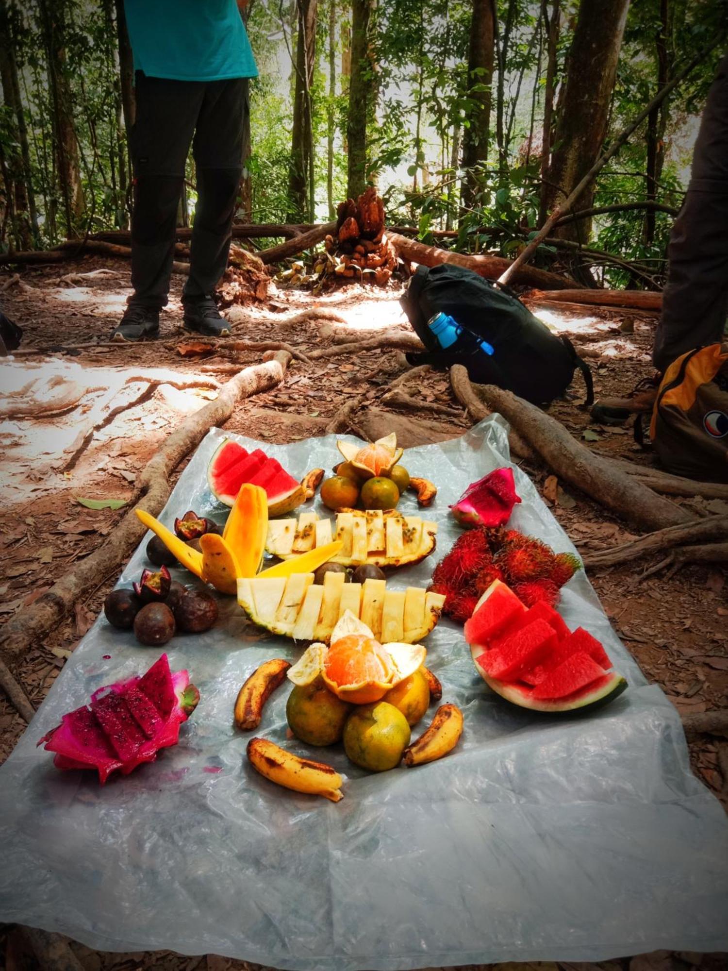 Jungle Life Guest House - Trekking & Transport Only Book With Us Bukit Lawang Ngoại thất bức ảnh