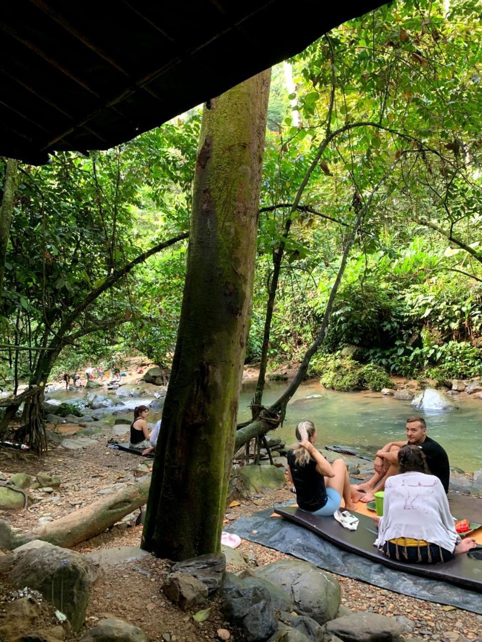 Jungle Life Guest House - Trekking & Transport Only Book With Us Bukit Lawang Ngoại thất bức ảnh
